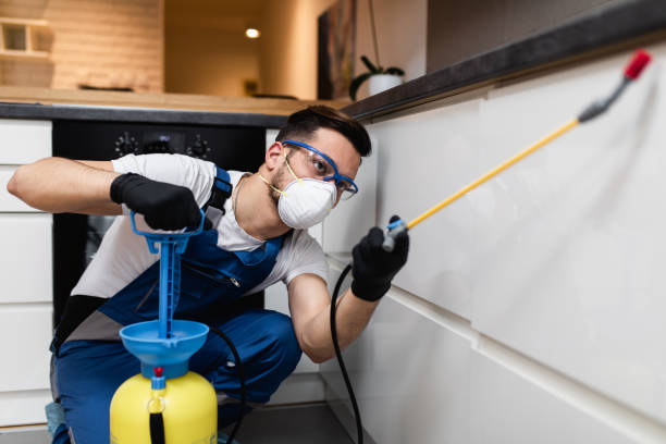 Professional Pest Control in Siler City, NC