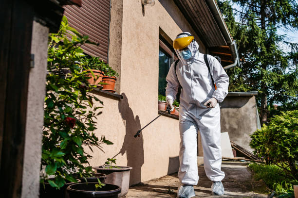 Best Bed Bug Extermination  in Siler City, NC