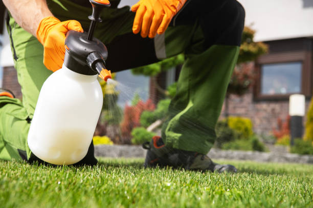 Best Pest Control Near Me in Siler City, NC