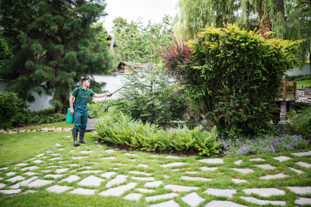 Best Best Pest Control Near Me  in Siler City, NC