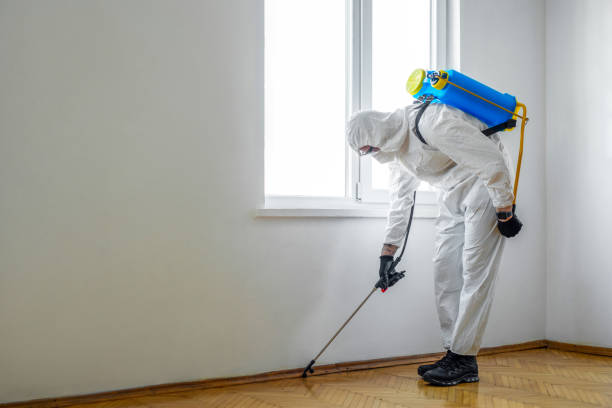 Best Bed Bug Extermination  in Siler City, NC