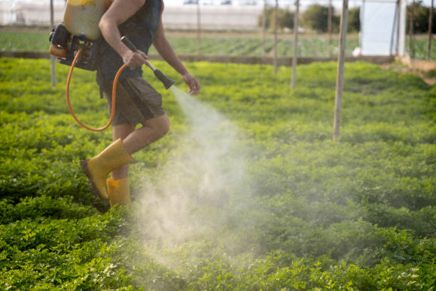 Best Pest Removal Services  in Siler City, NC