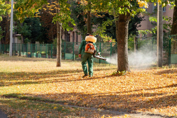 Best Residential Pest Control  in Siler City, NC