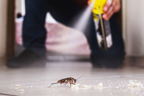 Bird Control in Siler City, NC