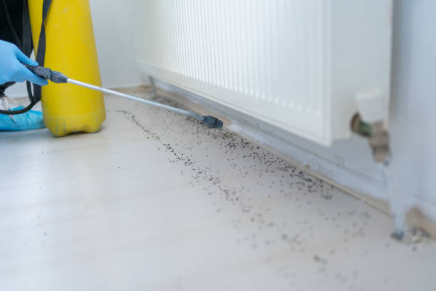 Best Residential Pest Control  in Siler City, NC